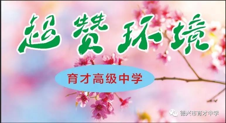 德兴市育才中学