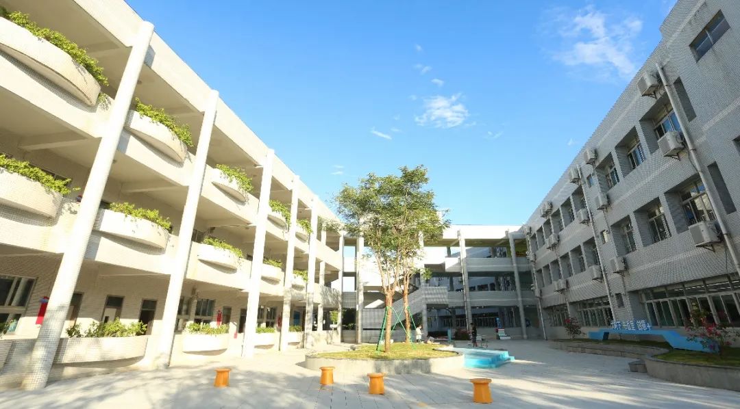 顺德龙江实验小学图片