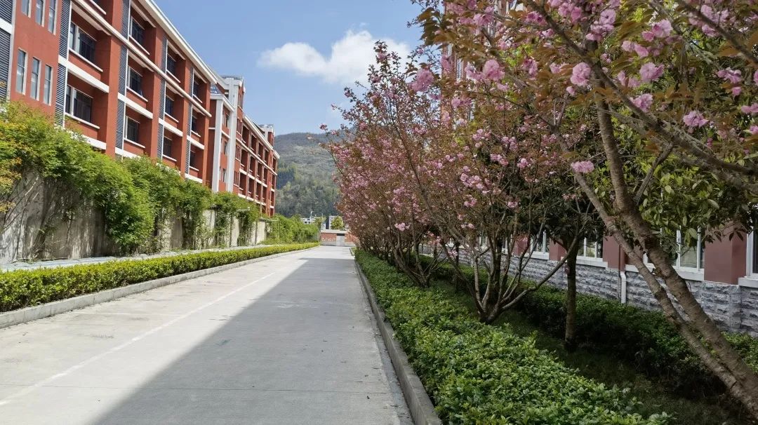 利川市清外高级中学筹